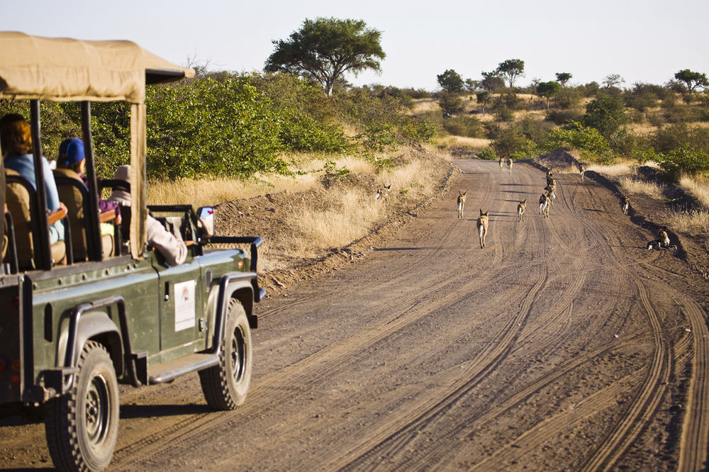 Tuli Safari Lodge Lentswelemoriti Ngoại thất bức ảnh